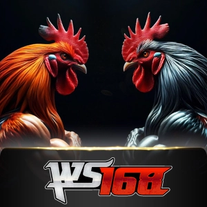 Ws168 Sabung - HUNIAN138