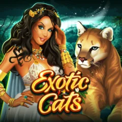 Exotic Cats - HUNIAN138