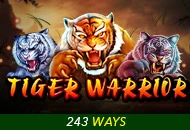 Spadegaming : Tiger Warrior - HUNIAN138