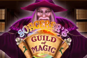 Sorcerers Guild of Magic - HUNIAN138