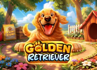 Pragmatic : Golden Retriever - HUNIAN138