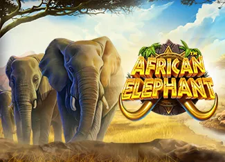 Pragmatic : African Elephant - HUNIAN138